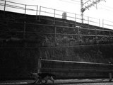 20090406-(21)