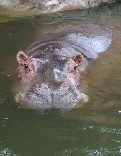 動物園か水族館か 天気次第の行き先 米沢の写真スタジオ サカヰ写真館 サカイ写真館 動物園か水族館か 天気次第の行き先 米沢の写真スタジオ サカヰ写真館 サカイ写真館