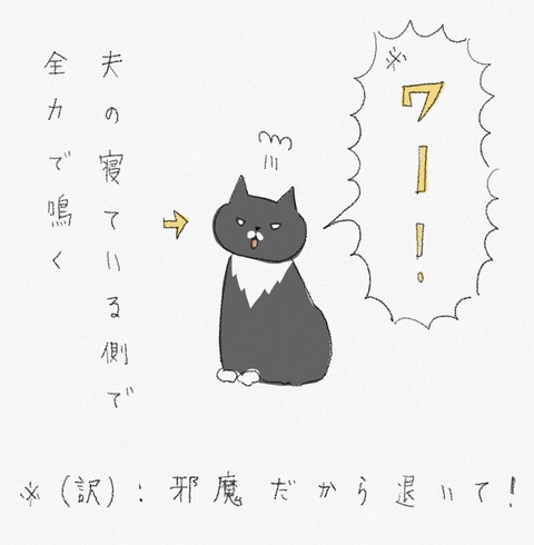 37C5C494-4D7C-4926-9A51-16119F732B8E