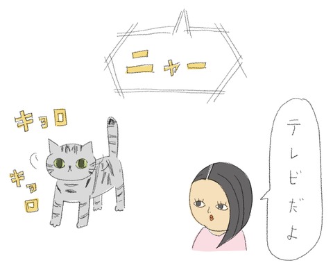 4A700A34-C5CA-4F9F-9C6A-78B7BFAB756C