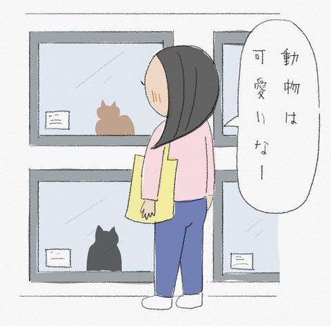 4B89F2F4-A95C-42DF-8268-A728024C6B00