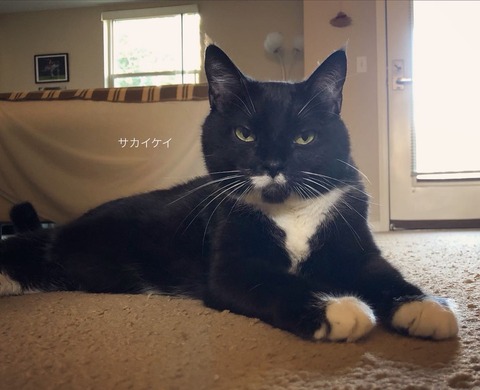 B1E66559-6157-4627-BD48-F293E142860B