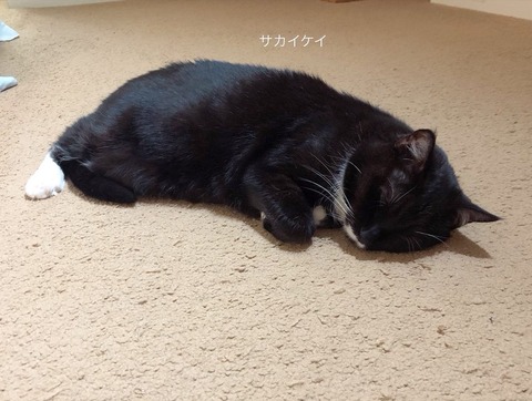 6E24CC7D-4F9E-46D0-8818-8B014719E8D6