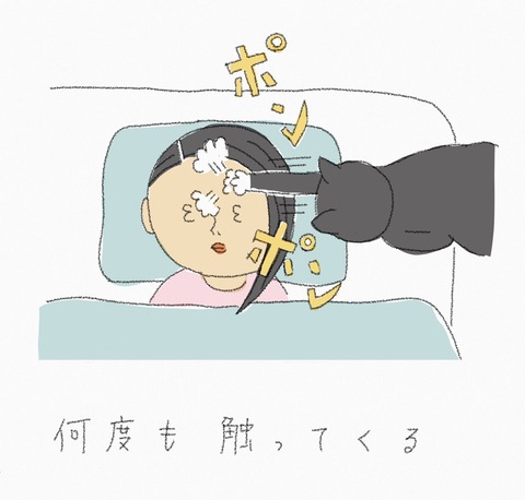 3ADA8779-FF12-4F34-8D41-87B9BCC46580