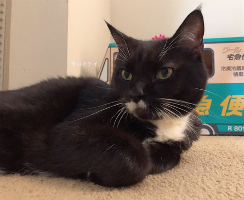 7CB9783D-0C29-442A-8207-478547F615A5