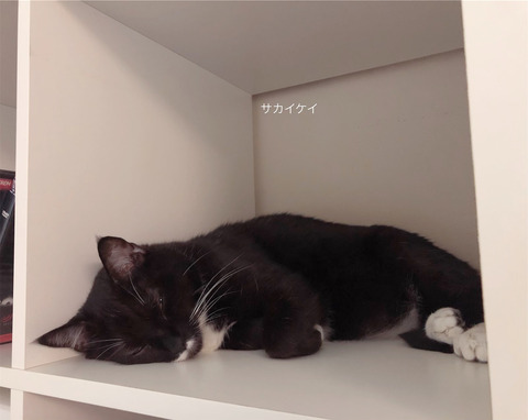 D026CB5C-A289-4A32-AC87-E379495A7E83