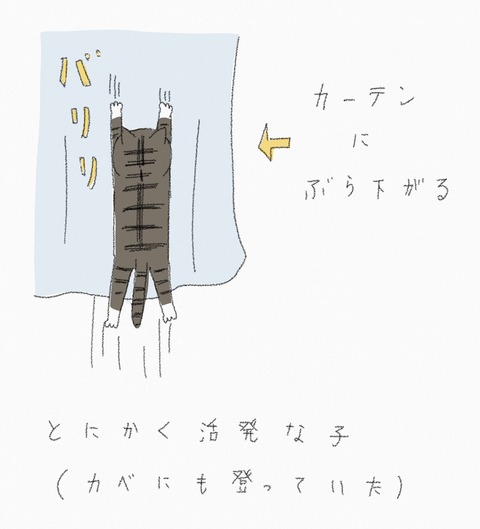 8481E78D-07DB-498E-98D3-36F26DEBD1FB