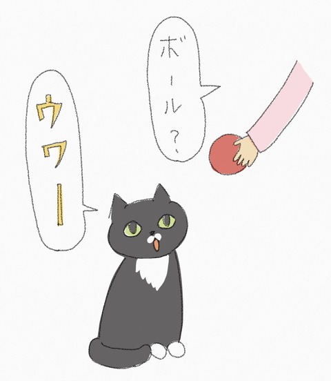 150C56E1-554C-47C7-9753-5636451BC7C1