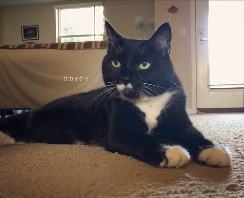 76C4DB10-AF0B-43D1-A71D-3931169A6834