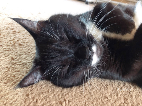 E454D7D9-3FDD-4881-BD21-DDE7A2CAEF78