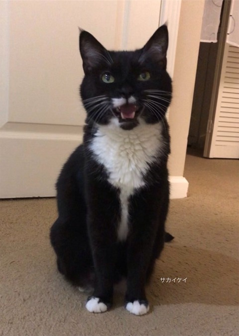 eZy Watermark_03-11-2023_09-04-05-9230午前