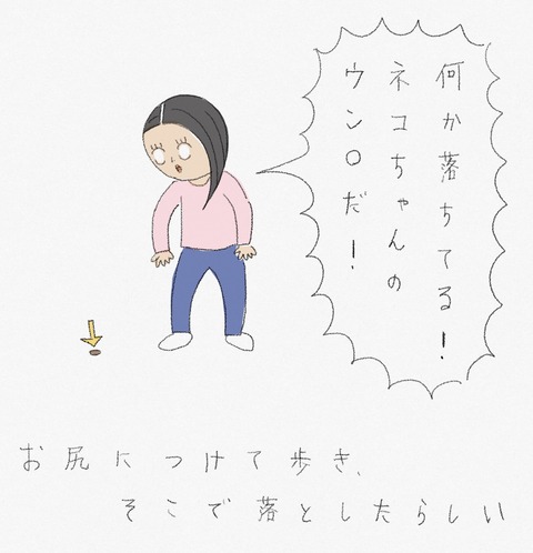 02A4C17C-7CC7-4FC7-8E39-9EB501C5279C