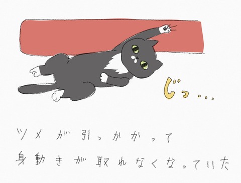 58322A08-50AD-4685-9A9C-47B15593ED09