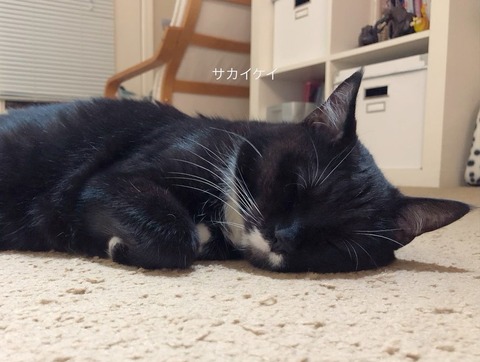 3990D237-76DB-43A5-B7CB-FAC74664C909