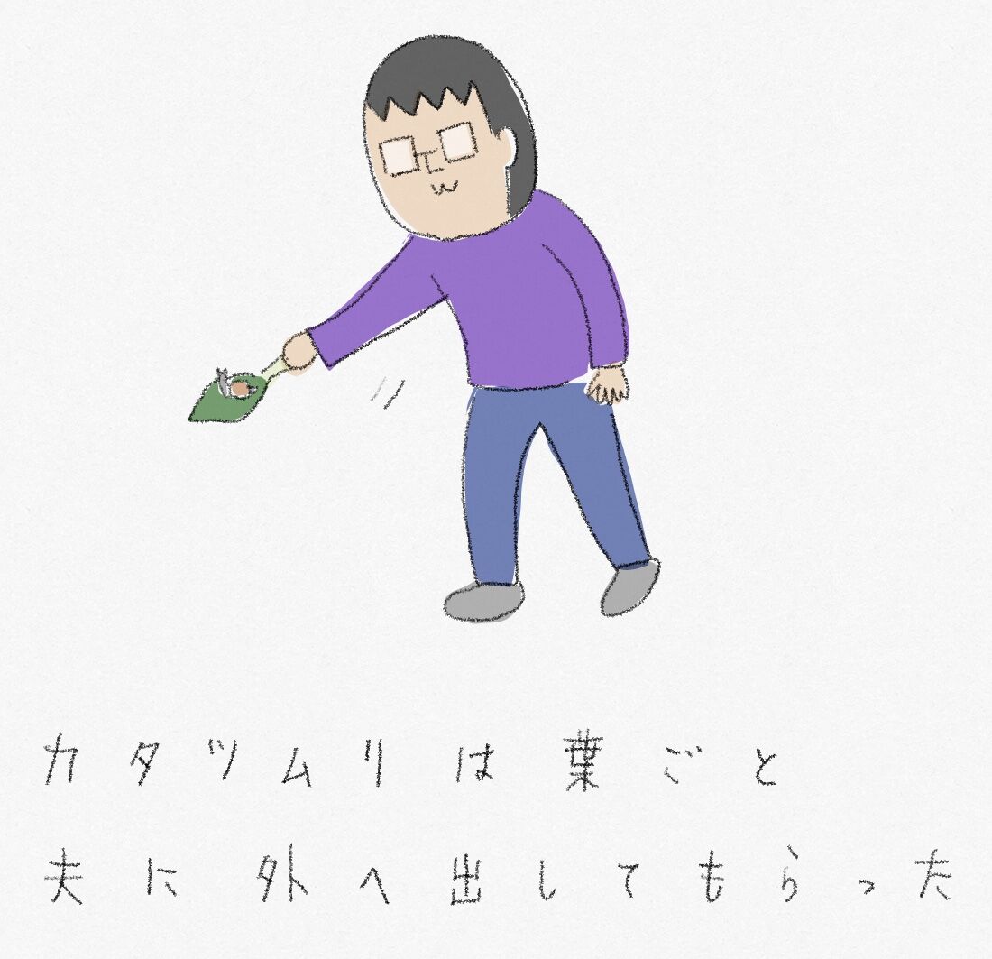 チンゲン菜を買ったら お家 ときどき お外 チンゲン菜を買ったら お家 ときどき お外