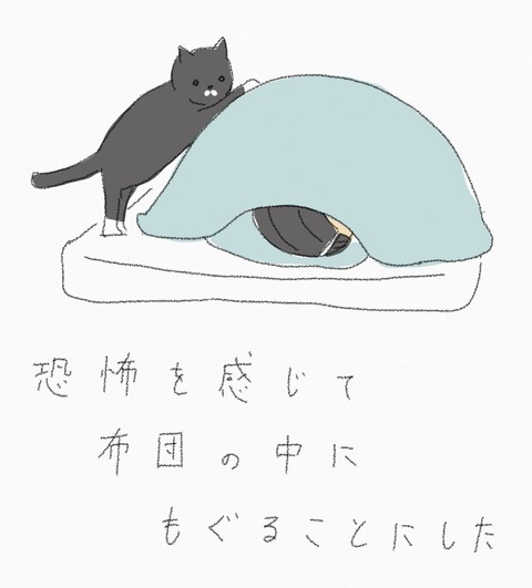 C390E7C0-A6BB-45AF-8B82-A6219EB7A306