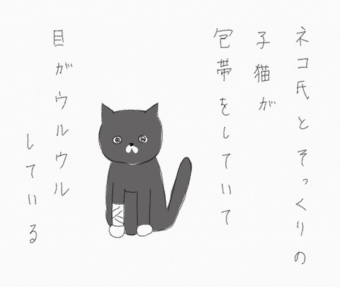 6040C450-DD89-47C7-80F0-FA2CD355BDF3