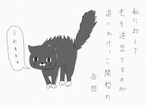 21A51900-1287-4B33-8539-8B1E14A1A26B