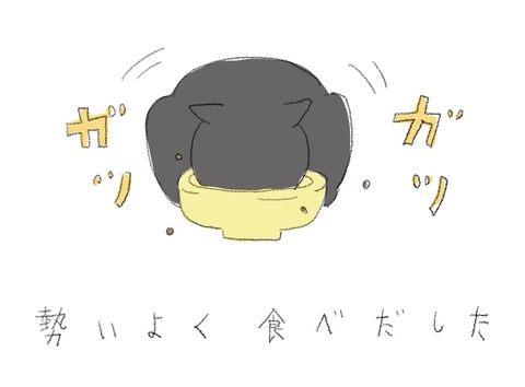 726084E1-51FA-4DA0-BABC-71266E242BFD