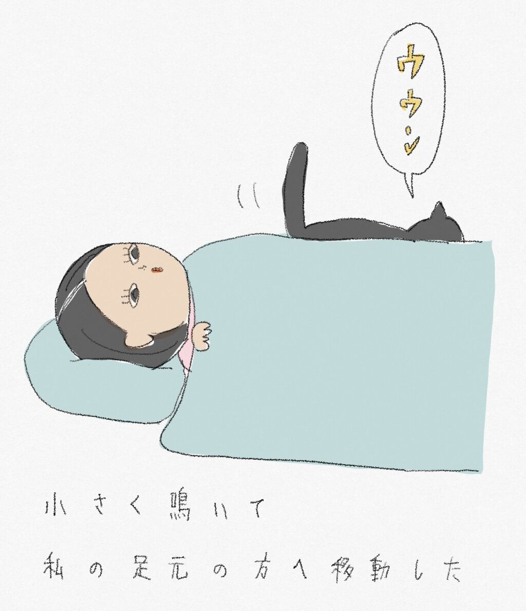 寝たふりをしてみる お家 ときどき お外