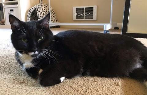 eZy Watermark_05-11-2023_08-23-45-0910午前