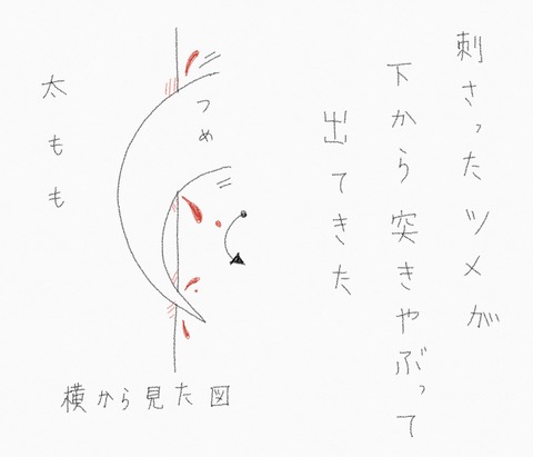 06D39875-57DD-4291-8682-F22D37DFD297