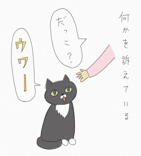 1D8B9786-3DBC-458A-8397-8FBD37C39B90