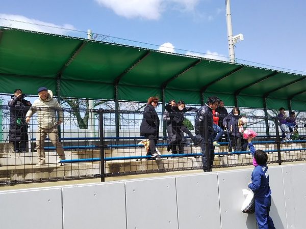 イメージ 14