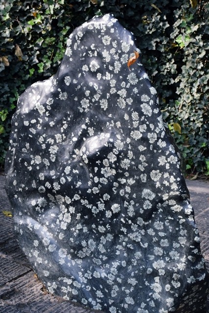 牡丹石 河南省洛陽でしか取れない世界的な奇石 : 最果志向 ～放浪家