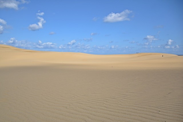 鳥取砂丘は朝早くに行くのが良い 最果志向 放浪家坂木さんの足跡