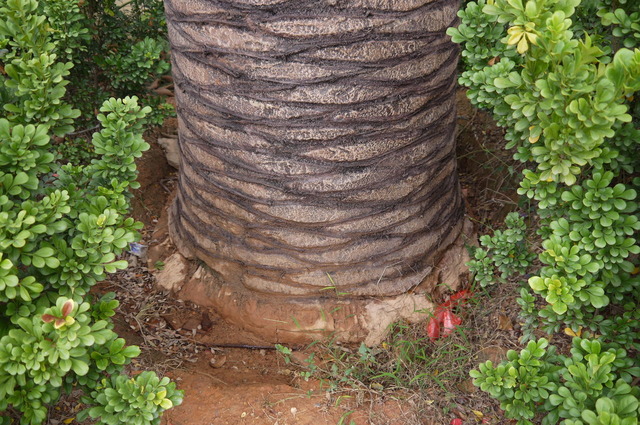 P1080360