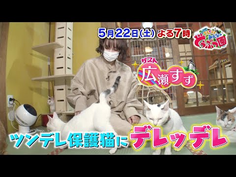 広瀬すず 昨日からウズウズしてました 人生初の保護猫カフェ 坂道46 Akb48 えッ な情報まとめ 広瀬すず 昨日からウズウズしてました 人生初の保護猫カフェ 坂道46 Akb48 えッ な情報まとめ