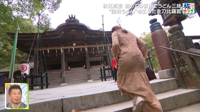 livetest.net_load_20231118-083112-018