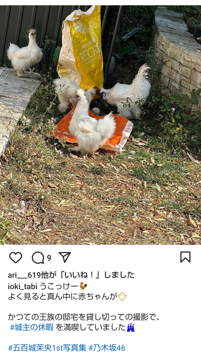 no title