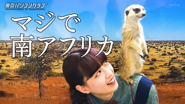 clipimg.work_2024_6_15_mn240615-0006480232