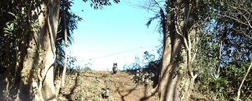 0225番猫（将門の井戸）