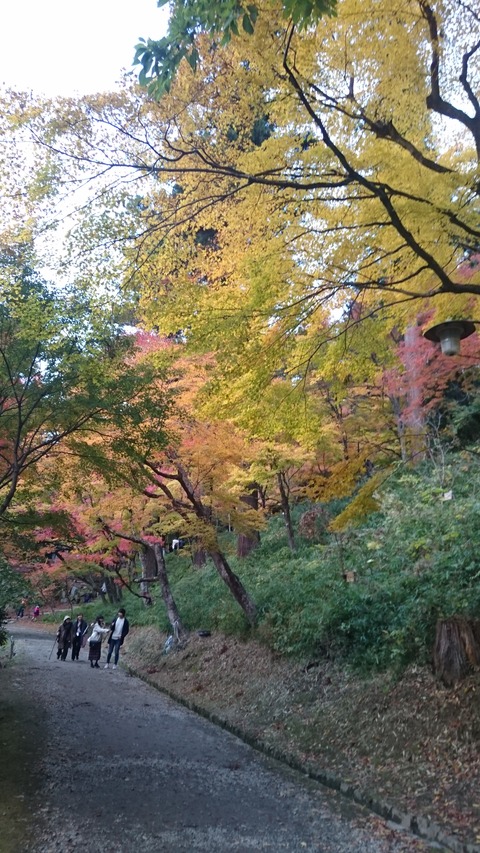 DSC_2434香嵐渓