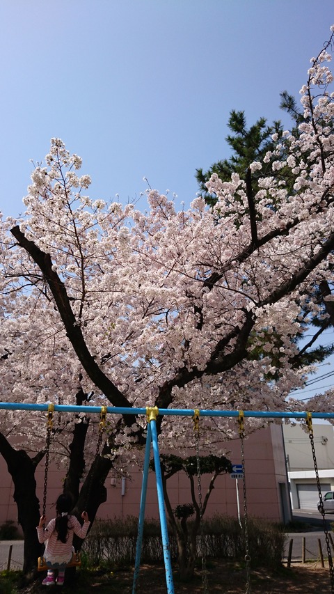 DSC_２０１８2694
