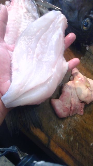 本日の魚 バトウ 釣り坊主の独り言 本日の魚 バトウ 釣り坊主の独り言
