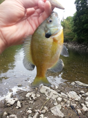 2014-06-20-15-10-48_photo