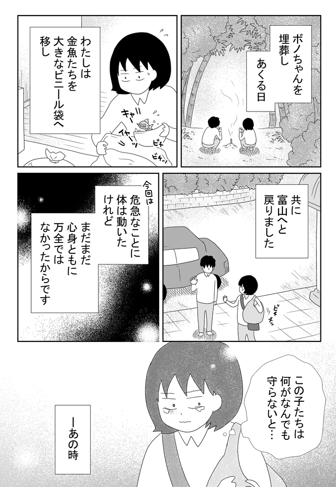 B金魚1525