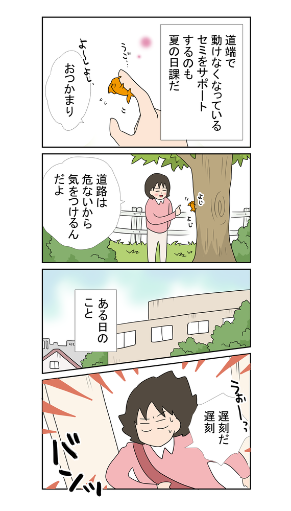 B金魚2088