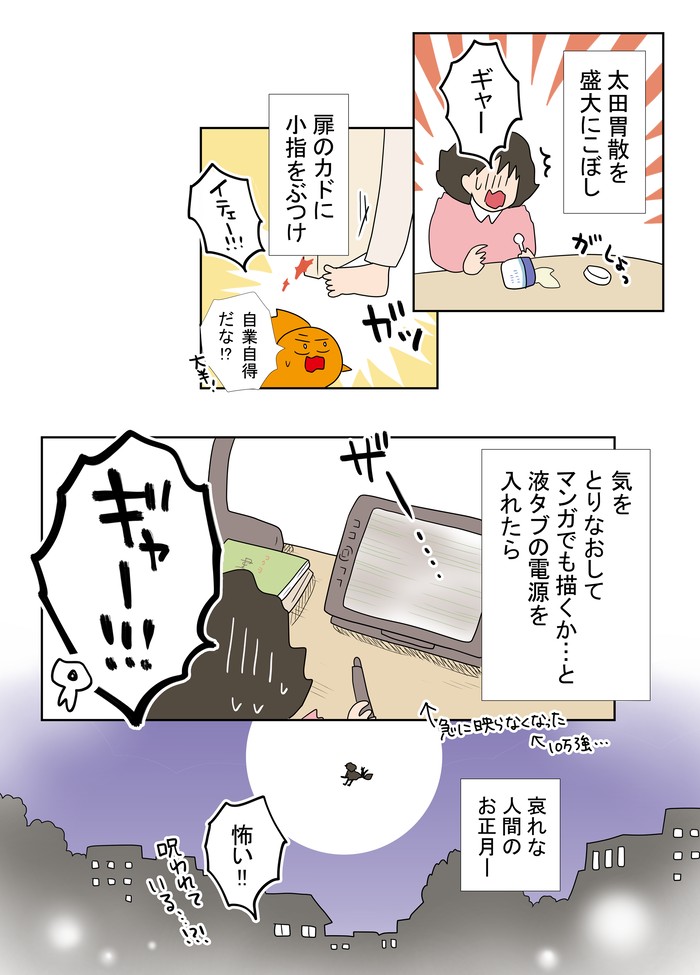 B金魚2060