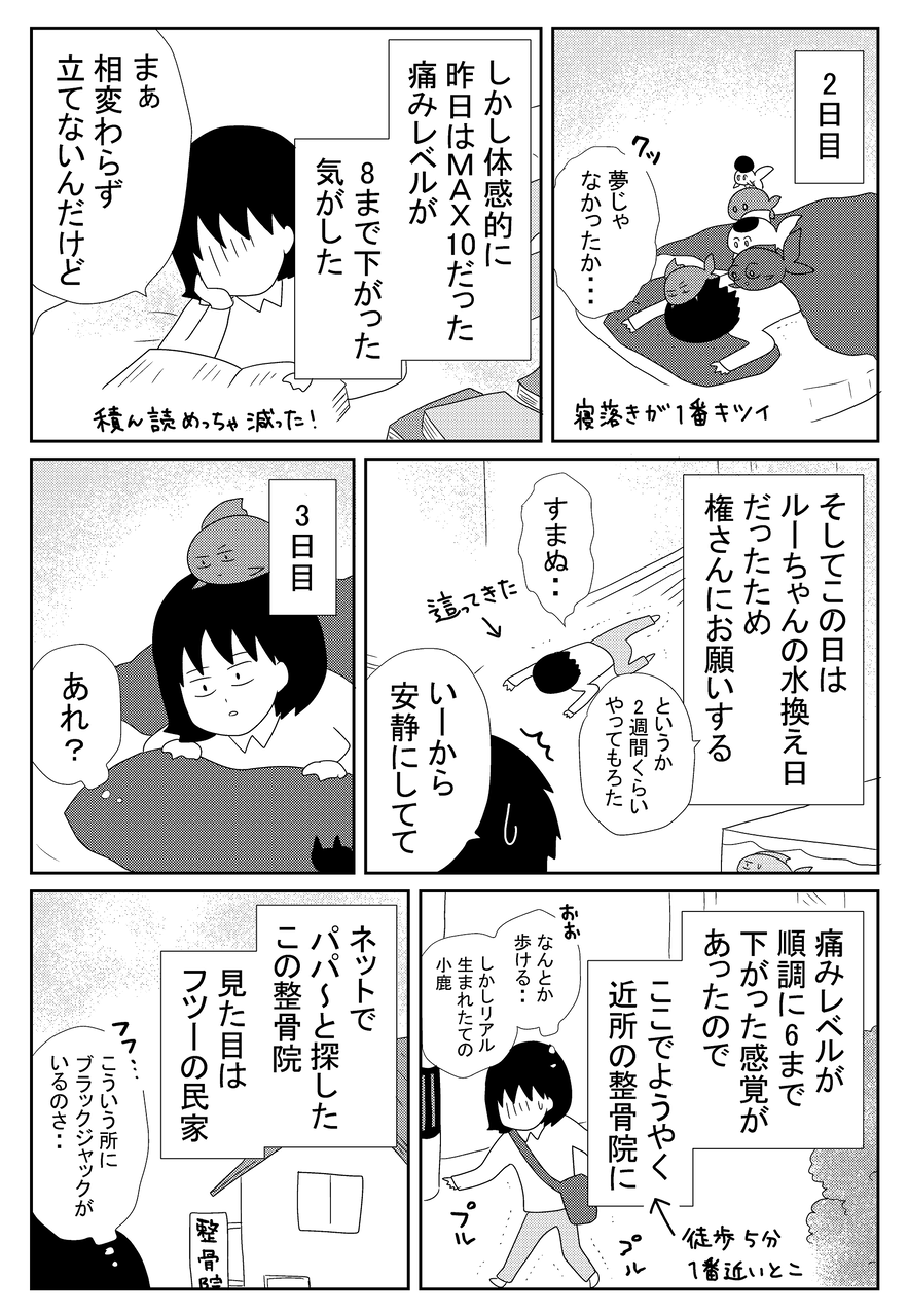 金魚とわたしの徒然 金魚とわたしの徒然