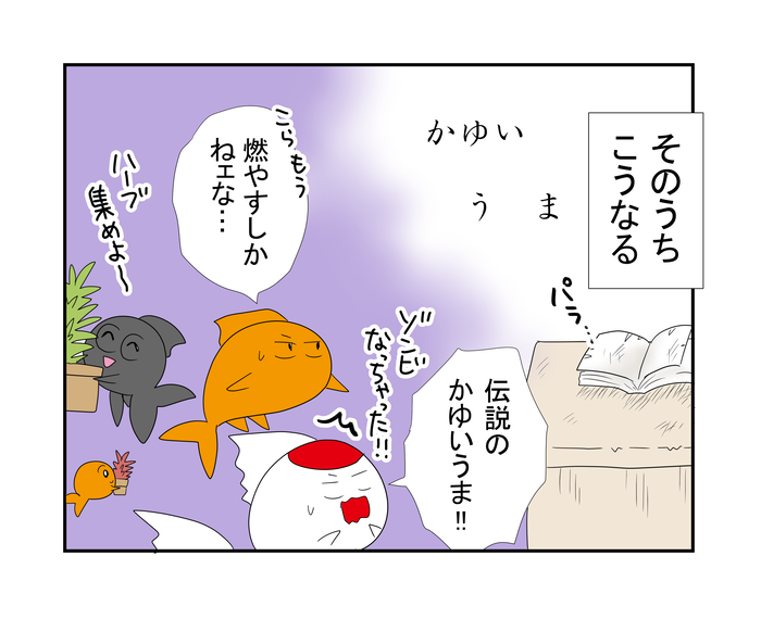 B金魚1210w