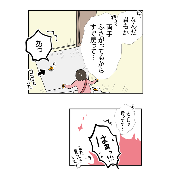 B金魚2090