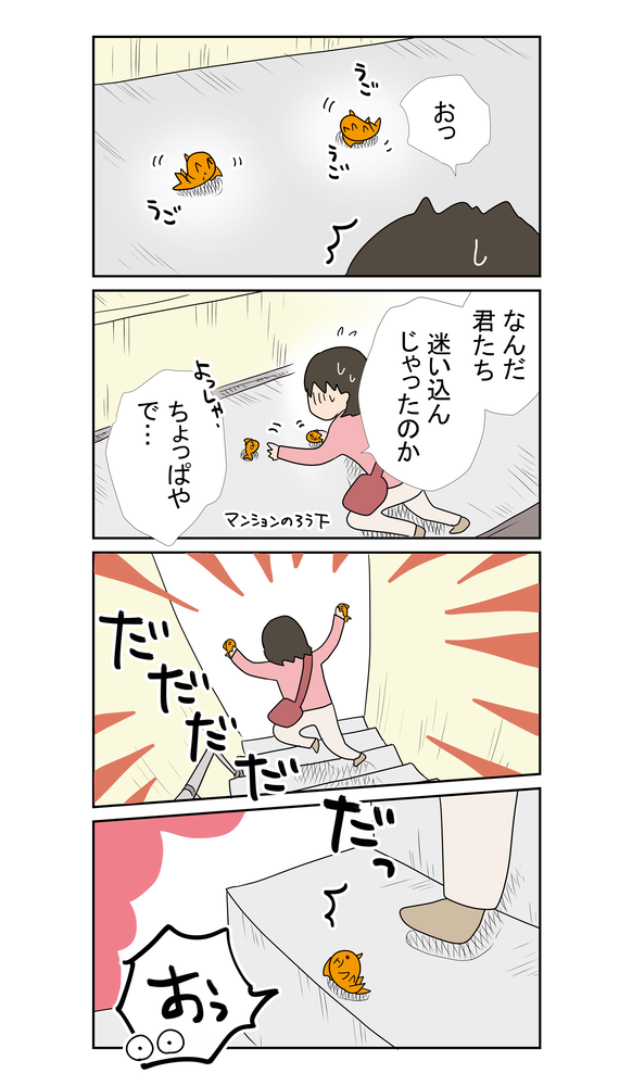 B金魚2089