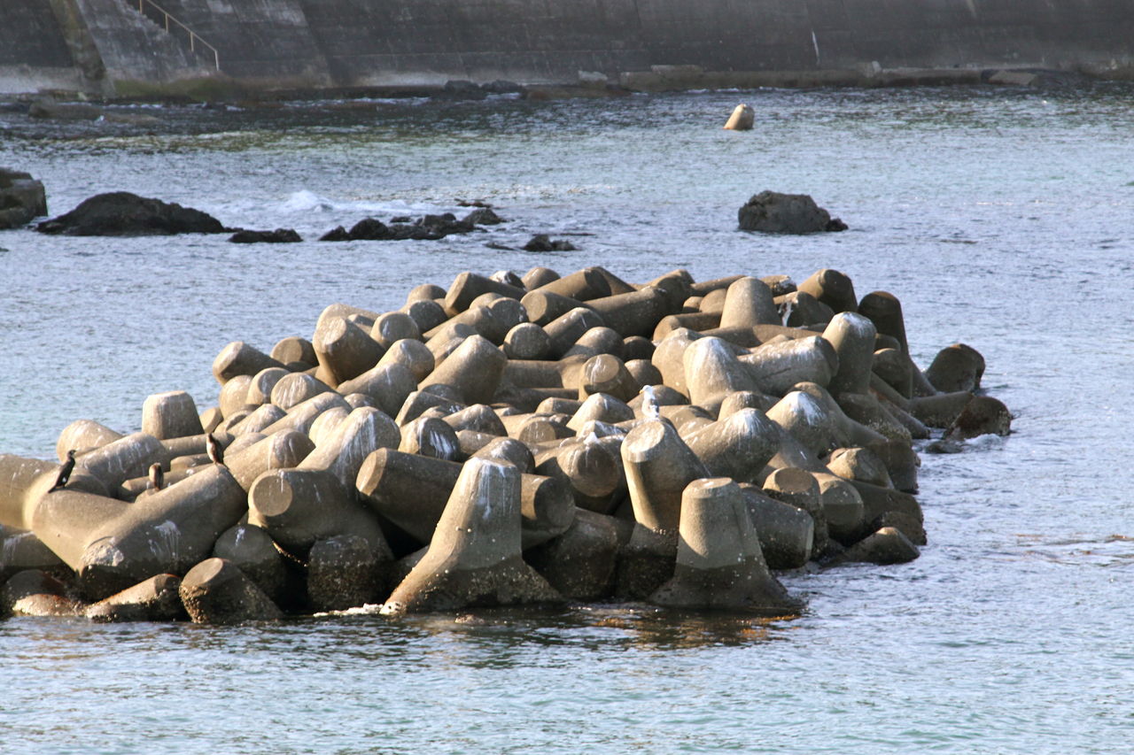 週末の3月8日 三重県石鏡漁港へ行って参りました 魚文化研究所 釣り大好き のブログ 週末の3月8日 三重県石鏡漁港へ行って参りました 魚文化研究所 釣り大好き のブログ