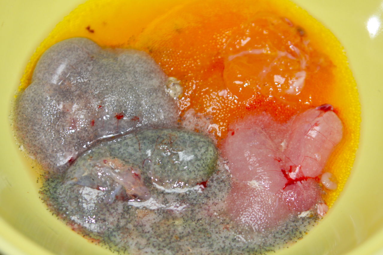 メバルやカサゴの卵を料理してみませんか 魚文化研究所 釣り大好き のブログ