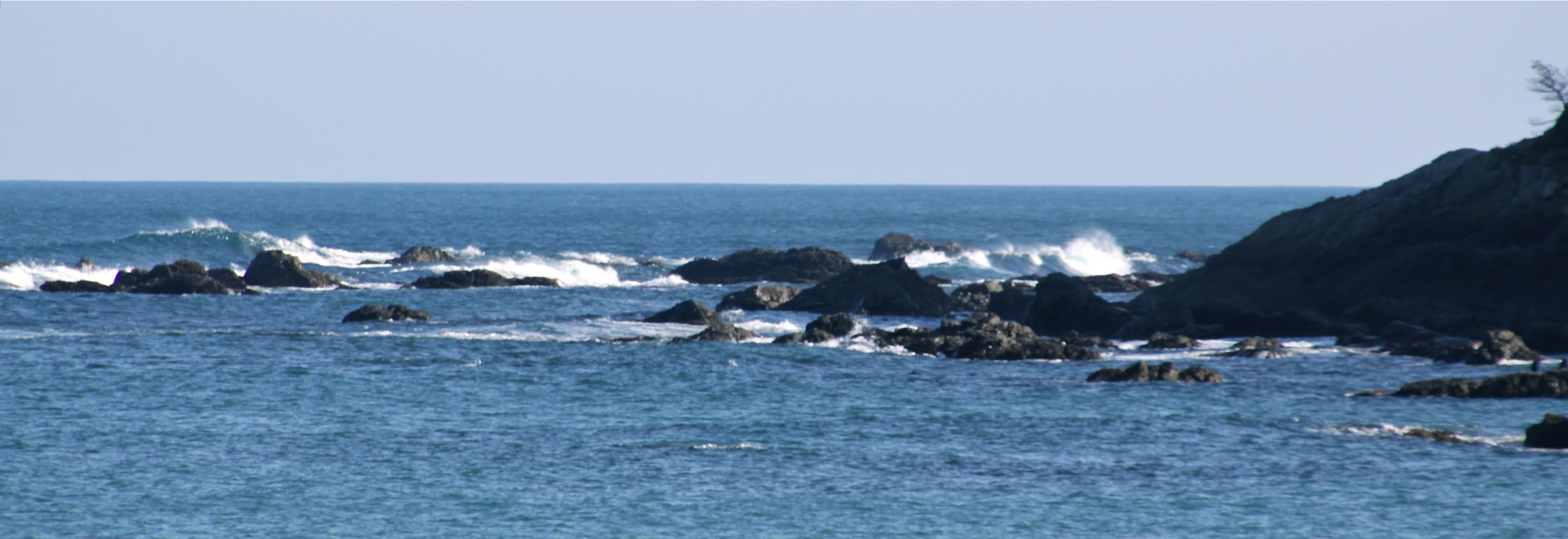 週末の3月8日 三重県石鏡漁港へ行って参りました 魚文化研究所 釣り大好き のブログ 週末の3月8日 三重県石鏡漁港へ行って参りました 魚文化研究所 釣り大好き のブログ